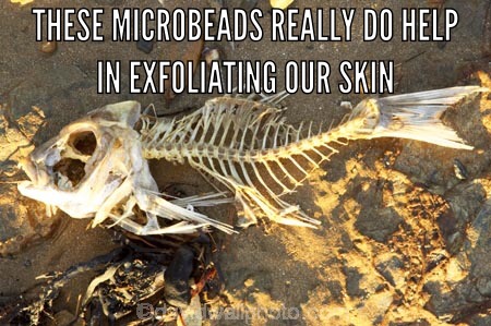 The consequences of plastic microbeads